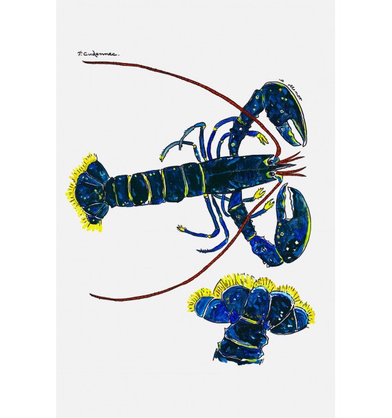 Torchon Homard n°3
